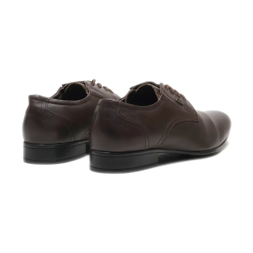 Allen Cooper Formal Lace Ups Leather Brown Colour For Men